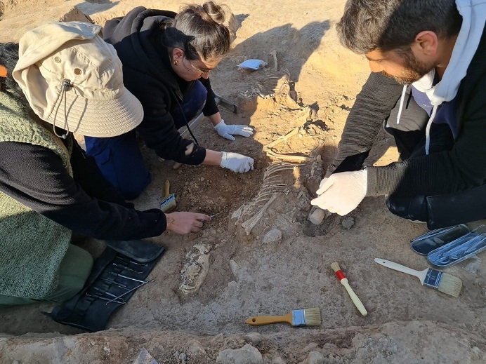 Güneydoğu Türkiye'deki Harran Arkeolojik Alanında Tanrıça Gula ile İlişkili Ritüel Köpek Mezarları Ortaya Çıkarıldı