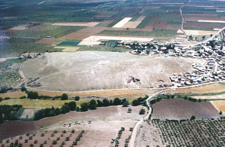 Orta Doğu’nun en büyük höyüklerinden biri olan Oylum Höyük’te kazı çalışmaları başladı