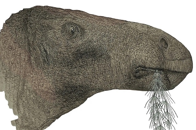 Wight Adası’nda Yeni Bir Otçul Dinozor Türü Keşfedildi