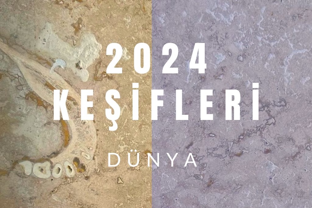 2024 Yılında Dünyanın 10 Arkeolojik Keşfi