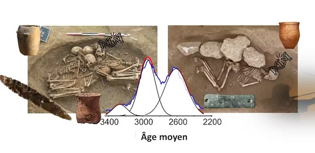 Bu Toplu Mezar, Avrupa Genomunun Oluşumunu Aydınlatıyor