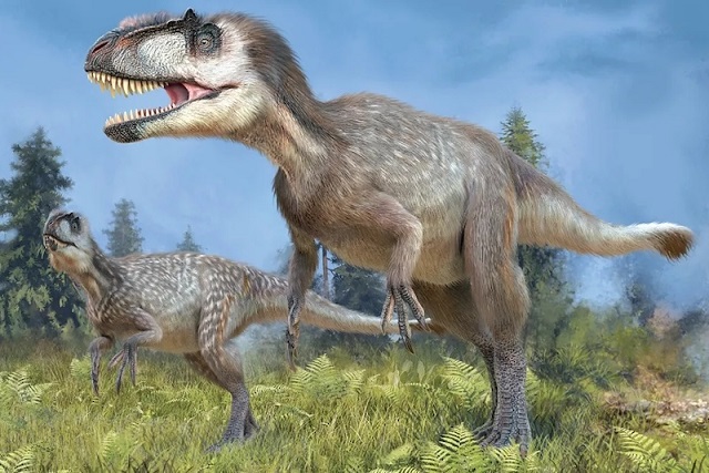 Yaşamış En Büyük Tüylü Dinozor 9 Metre ve İki Ayaklıydı