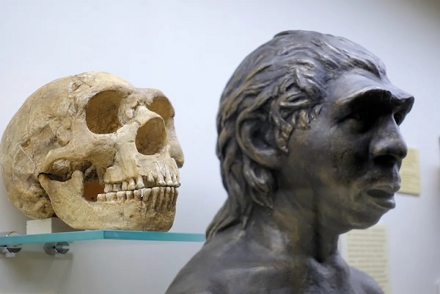 Hepimiz Neandertal ve Denisovalı DNA’sı Taşıyoruz