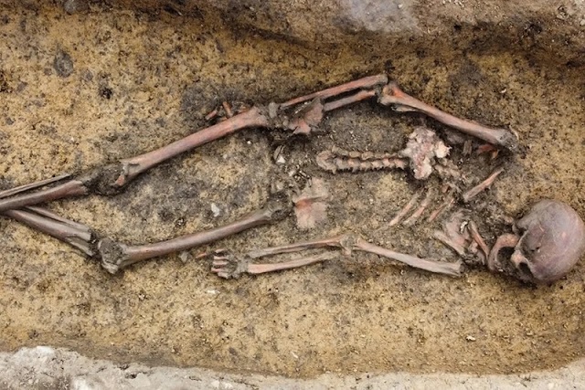 İskeletleri Çok İyi Korunmuş 50 Viking Mezarı Bulundu