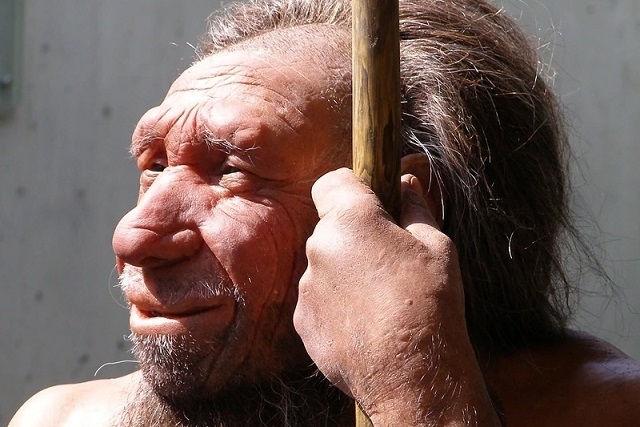 Neandertallerin ve Denisovalıların Yüzü Nasıl Görünüyordu?